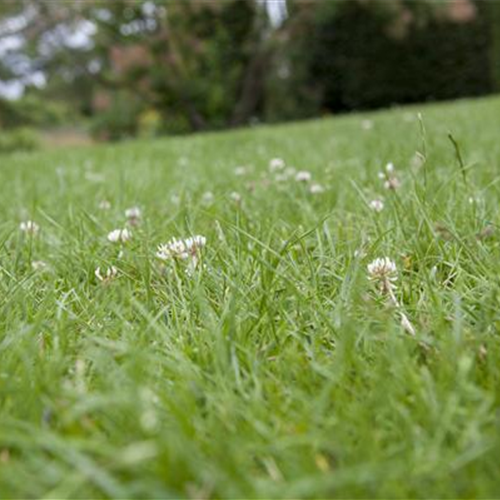 Lebensraum für Kaninchen und Co.