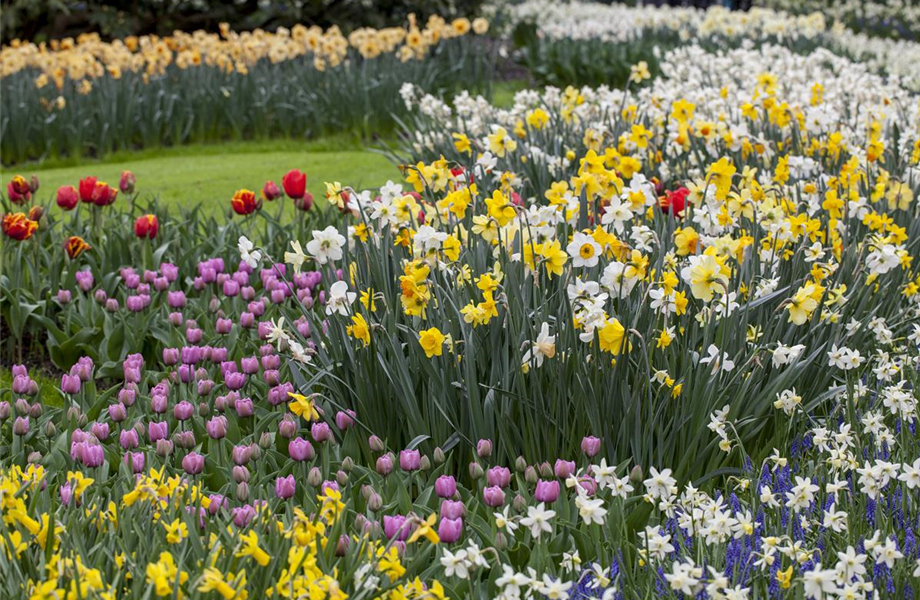 Gartenarbeiten im Mai