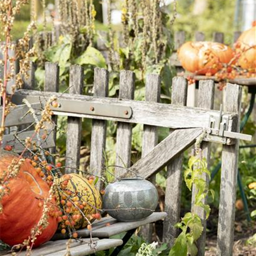 Gartenzäune sind nützlich und schön