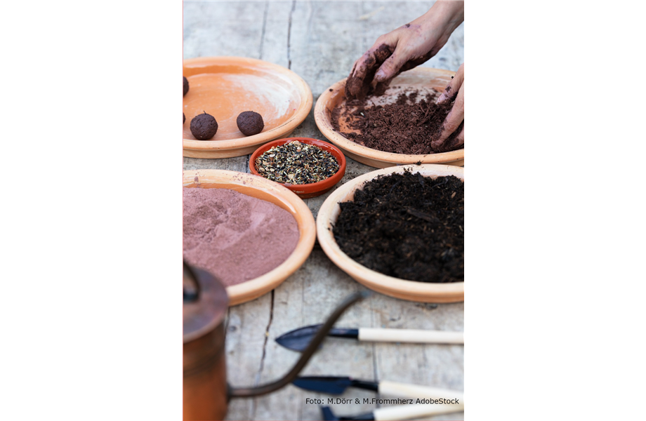 DIY-Tipp: Urban Gardening