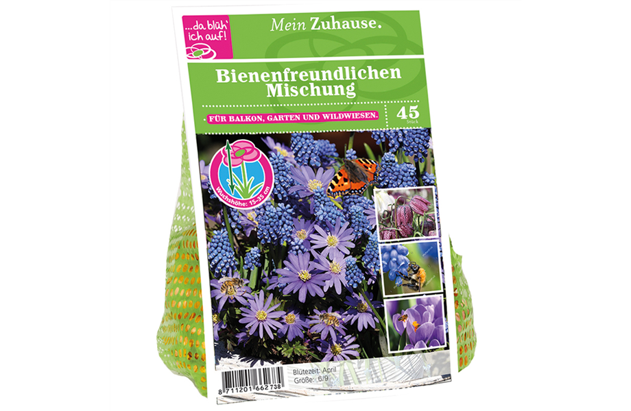 Blumenzwiebelzauber im Frühjahr